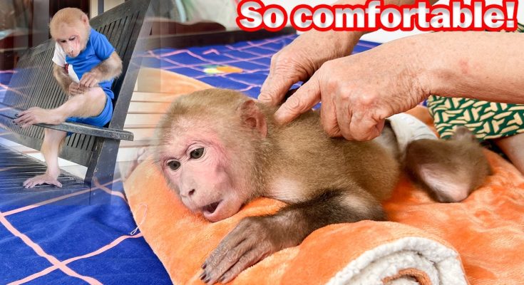 Bibi feels itchy so he asks Grandma for special care!