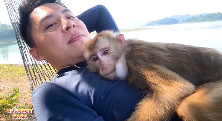 So Touching! Warm and happy moments of Monkey Kaka and her dad