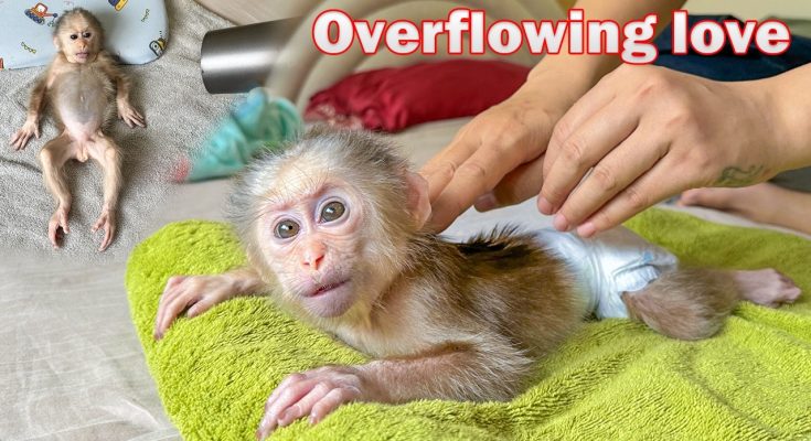 Lala gets special care and massage by Thuy!