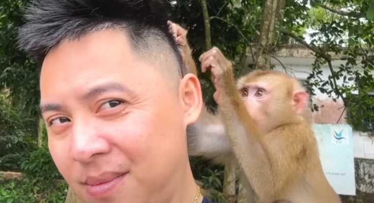 heartbroken by the injustices Monkey Kaka has received