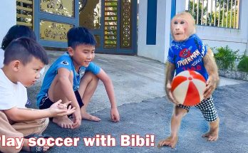 Bibi passionately plays a soccer match with the children!