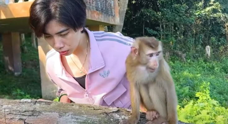 Monkey Kaka was really happy to see Diem and Quynh again