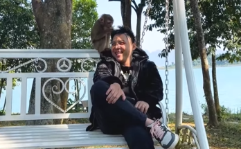 No more news about Monkey Kaka! Things have come to a standstill