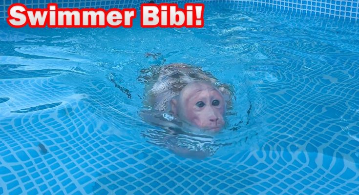 Bibi is happy to experience swimming after many days!