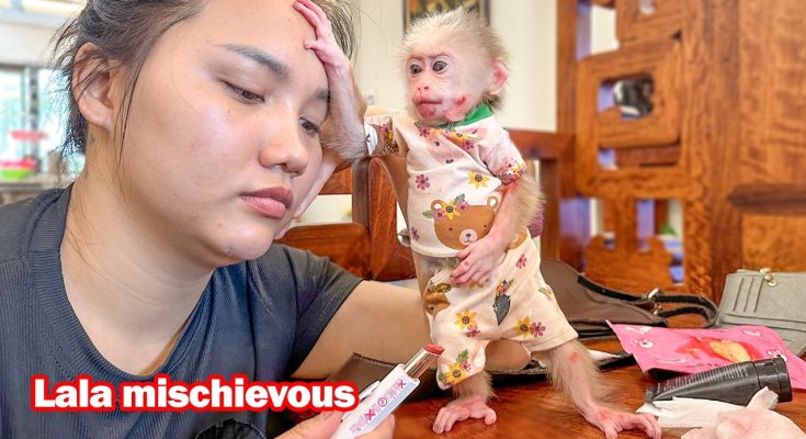 Lala mischievous plays with lipstick making Thuy dizzy!