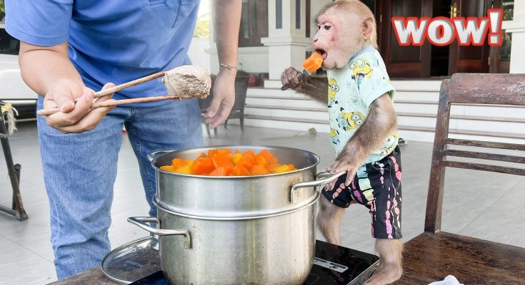 Bibi craves steamed pumpkin and carrots with beef!