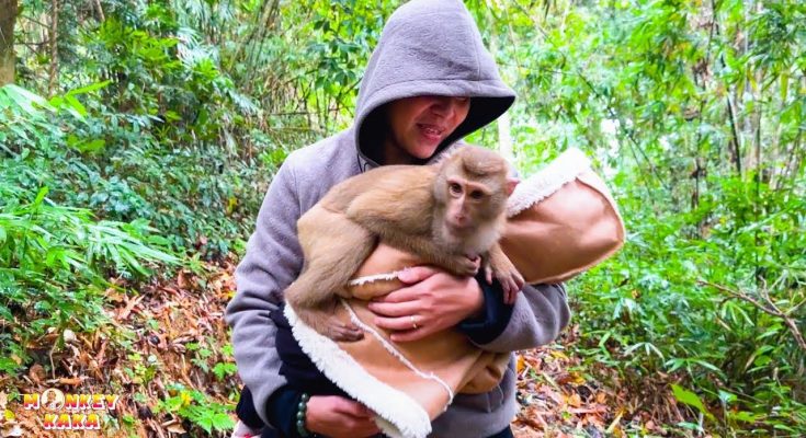 What Monkey Kaka wants most when her meets Diem again